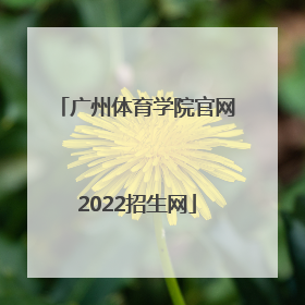 「广州体育学院官网2022招生网」广州体育学院官网2022棒球招生多少