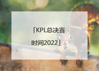 「KPL总决赛时间2022」kpl总决赛时间2022结果