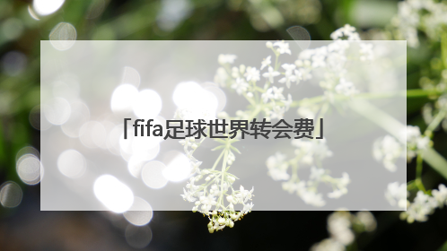 「fifa足球世界转会费」fifa足球世界转会费修改器