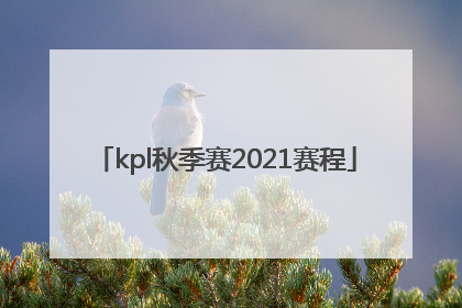 「kpl秋季赛2021赛程」kpl秋季赛2021赛程直播回放